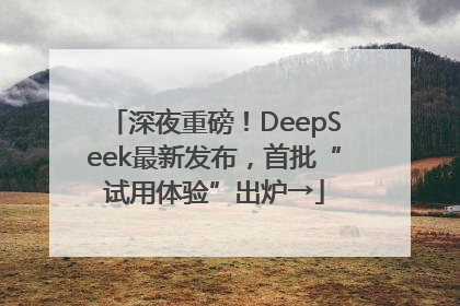 深夜重磅！DeepSeek最新发布，首批“试用体验”出炉→