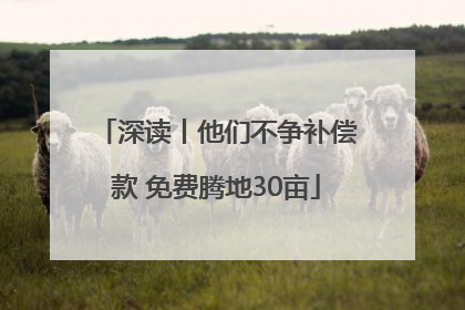 深读丨他们不争补偿款 免费腾地30亩