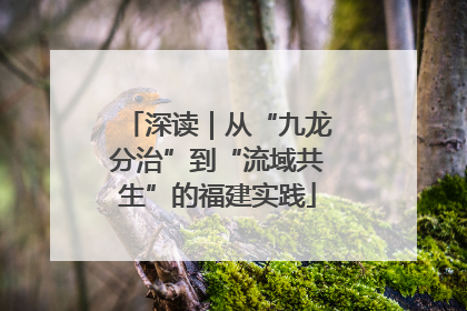 深读｜从“九龙分治”到“流域共生”的福建实践