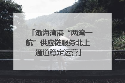 渤海湾港“两湾一航”供应链服务北上通道稳定运营