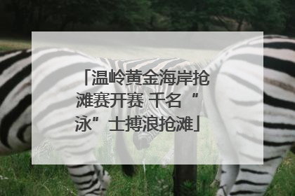 温岭黄金海岸抢滩赛开赛 千名“泳”士搏浪抢滩