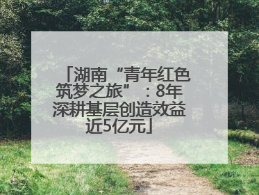湖南“青年红色筑梦之旅”：8年深耕基层创造效益近5亿元