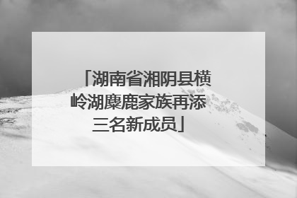 湖南省湘阴县横岭湖麋鹿家族再添三名新成员