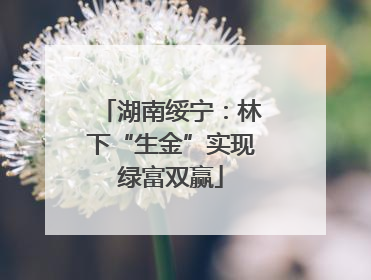 湖南绥宁：林下“生金”实现绿富双赢