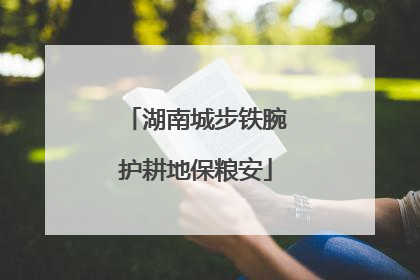 湖南城步铁腕护耕地保粮安