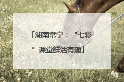 湖南常宁：“七彩”课堂鲜活有趣