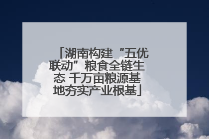 湖南构建“五优联动”粮食全链生态 千万亩粮源基地夯实产业根基