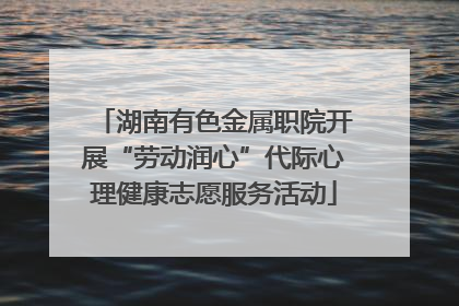 湖南有色金属职院开展“劳动润心”代际心理健康志愿服务活动