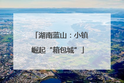 湖南蓝山：小镇崛起“箱包城”