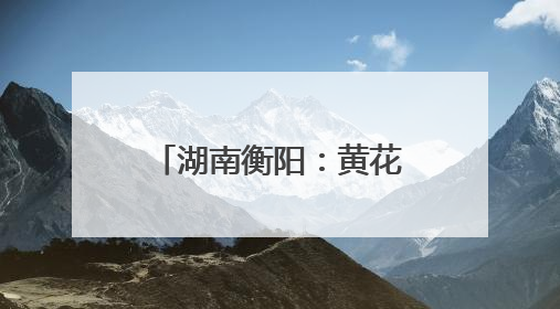 湖南衡阳：黄花菜采收加工忙
