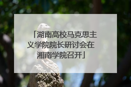 湖南高校马克思主义学院院长研讨会在湘南学院召开
