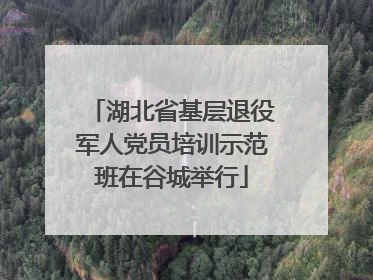 湖北省基层退役军人党员培训示范班在谷城举行