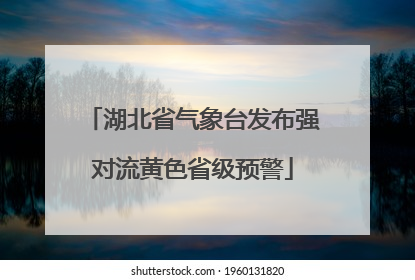 湖北省气象台发布强对流黄色省级预警