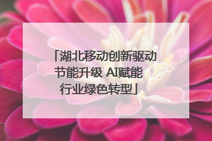 湖北移动创新驱动节能升级 AI赋能行业绿色转型