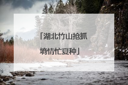 湖北竹山抢抓墒情忙夏种