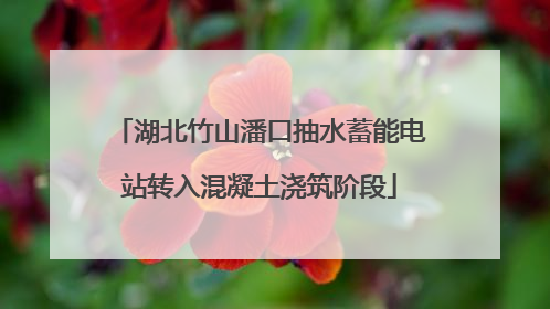 湖北竹山潘口抽水蓄能电站转入混凝土浇筑阶段