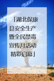 湖北保康县安全生产暨全民禁毒宣传月活动精彩启幕