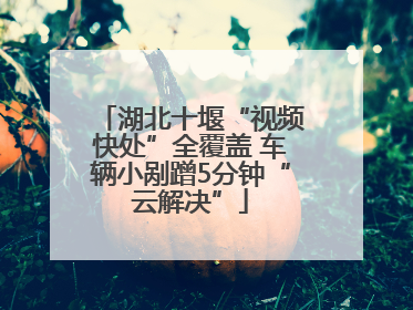 湖北十堰“视频快处”全覆盖 车辆小剐蹭5分钟“云解决”