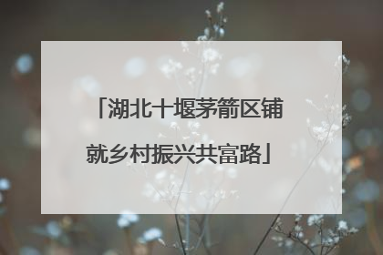 湖北十堰茅箭区铺就乡村振兴共富路
