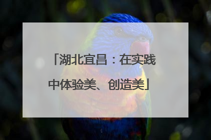湖北宜昌：在实践中体验美、创造美