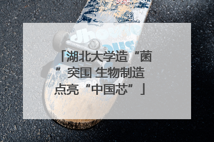 湖北大学造“菌”突围 生物制造点亮“中国芯”