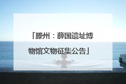 滕州：薛国遗址博物馆文物征集公告