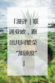 漫评｜联通亚欧，跑出共同繁荣“加速度”