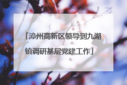 漳州高新区领导到九湖镇调研基层党建工作
