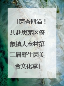 菌香四溢！共赴思茅区倚象镇大寨村第二届野生菌美食文化季