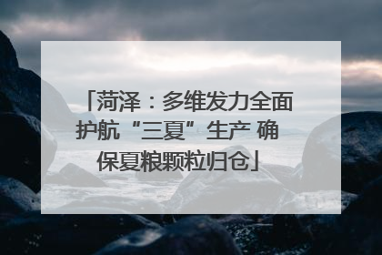 菏泽：多维发力全面护航“三夏”生产 确保夏粮颗粒归仓