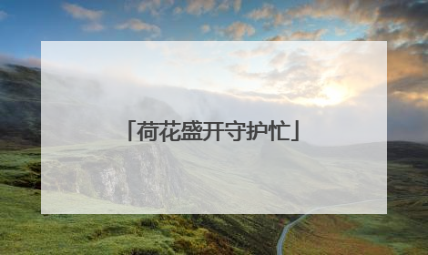 荷花盛开守护忙