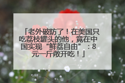 老外破防了！在美国只吃荔枝罐头的他，竟在中国实现“鲜荔自由”：8元一斤敞开吃！