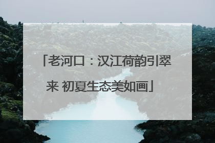 老河口：汉江荷韵引翠来 初夏生态美如画