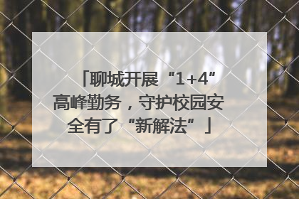 聊城开展“1+4”高峰勤务，守护校园安全有了“新解法”