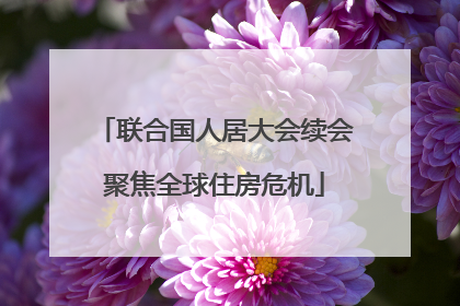 联合国人居大会续会聚焦全球住房危机