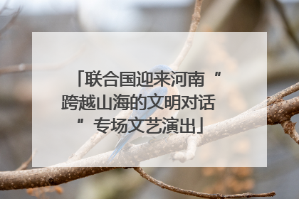 联合国迎来河南“跨越山海的文明对话”专场文艺演出