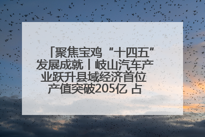 聚焦宝鸡“十四五”发展成就丨岐山汽车产业跃升县域经济首位 产值突破205亿 占规上工业75%
