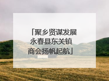 聚乡贤谋发展 永春县东关镇商会扬帆起航