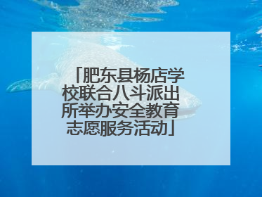 肥东县杨店学校联合八斗派出所举办安全教育志愿服务活动