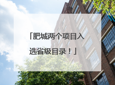 肥城两个项目入选省级目录！