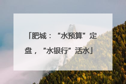 肥城：“水预算”定盘，“水银行”活水