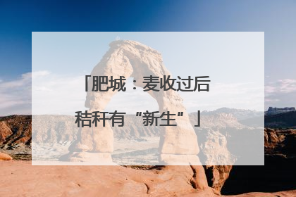 肥城：麦收过后秸秆有“新生”