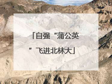 自强“蒲公英”飞进北林大