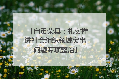 自贡荣县：扎实推进社会组织领域突出问题专项整治