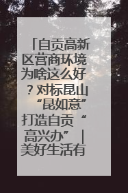 自贡高新区营商环境为啥这么好？对标昆山“昆如意”打造自贡“高兴办”｜美好生活有“盐”味
