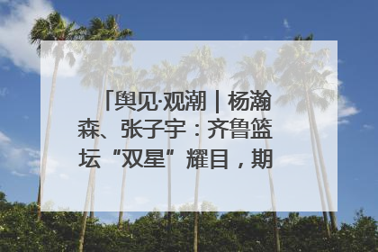 舆见·观潮｜杨瀚森、张子宇：齐鲁篮坛“双星”耀目，期许与挑战并存