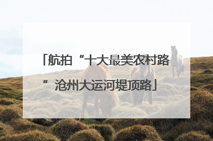航拍“十大最美农村路”沧州大运河堤顶路