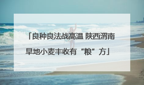 良种良法战高温 陕西渭南旱地小麦丰收有“粮”方