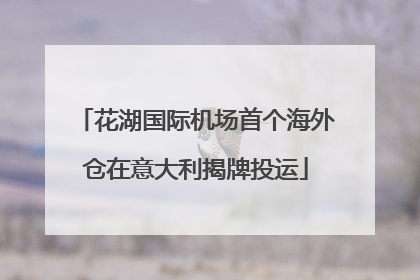 花湖国际机场首个海外仓在意大利揭牌投运
