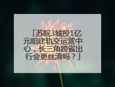 苏皖3城投1亿元组建轨交运营中心，长三角跨省出行会更丝滑吗？